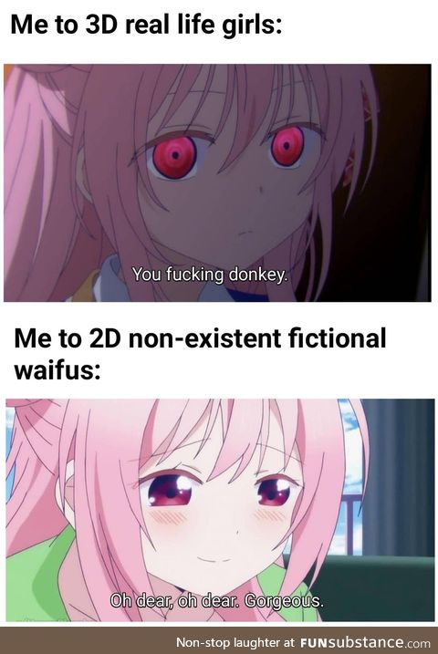 Waifus are better because they never give you up