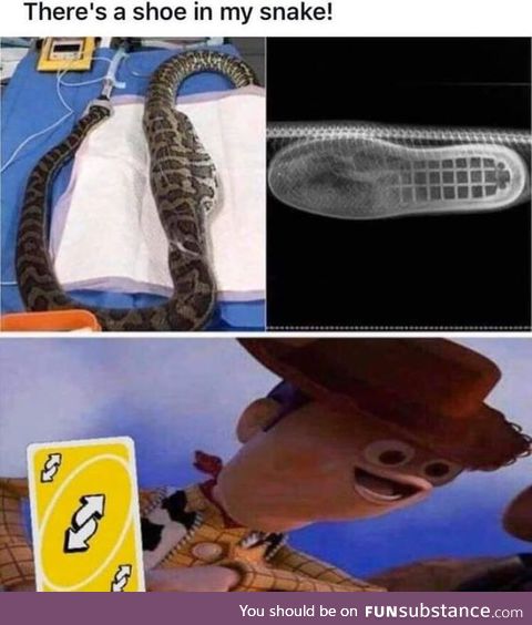 "There's a Snake in My Boot!"