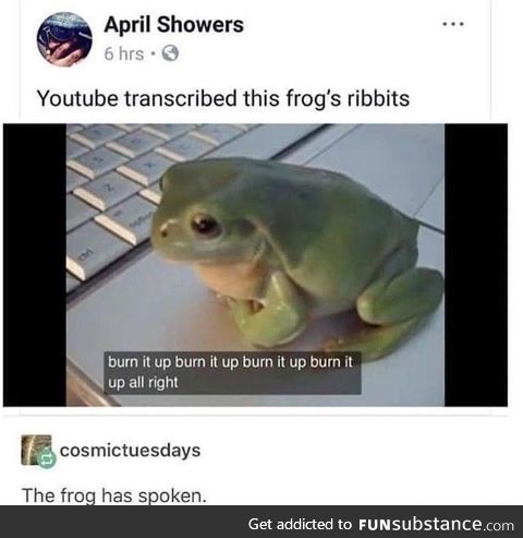 All hail froggo