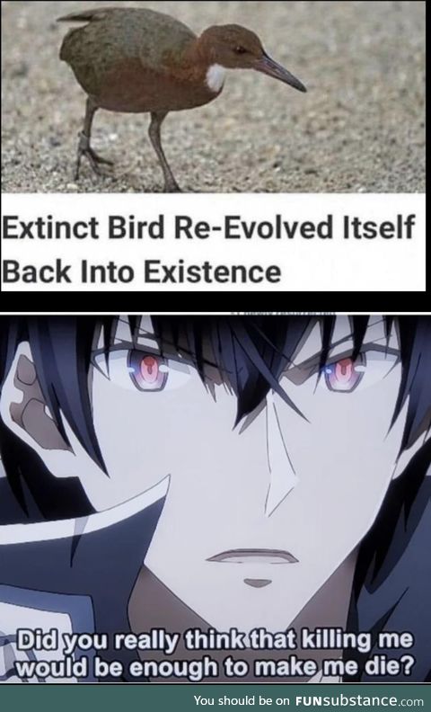 Extinction isn’t an option