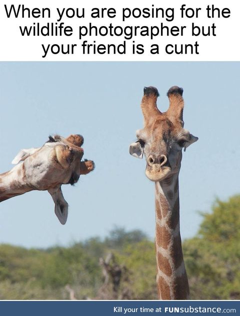 I’m the friend