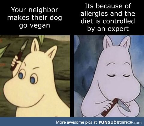 But most of the time, having your dog be vegan is bad