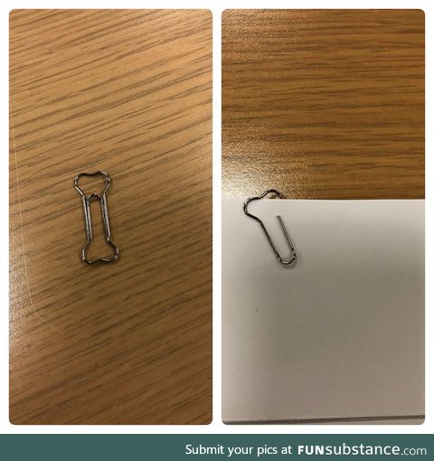 Client bought paper clips shaped like dog bones