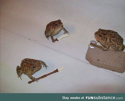 Froggo Fun #475 - Me and the Boys Preparing to Raid Reddit after the Frog Ban