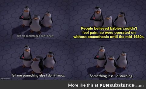 'Kowalski, please don't tell me you found this out through your own studies...'