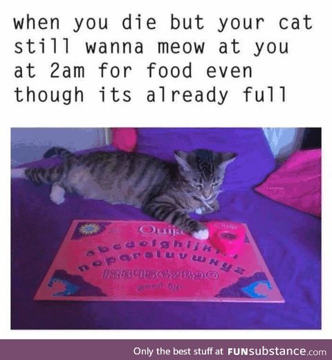 'Til Death do you part, and even then when the food bowl is "empty"