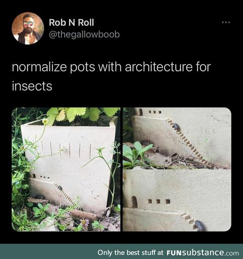 Architecture for insects