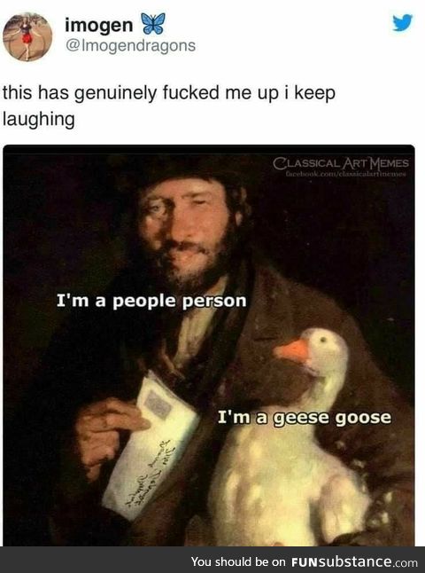 Geese Goose