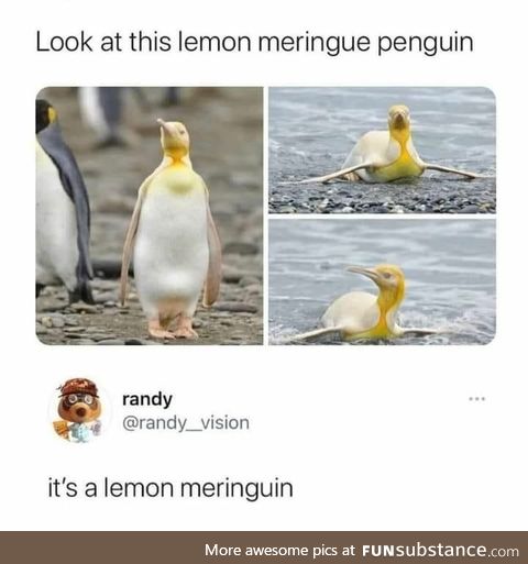 Lemon Merenguin