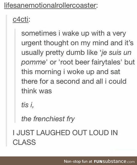 Tis I, the Frenchiest Fry