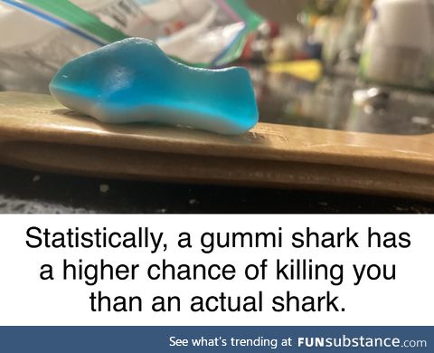 Sharks aren’t that scary