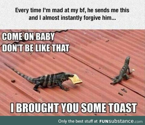Brought you some toast