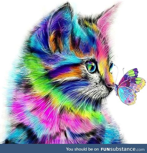 Colorful Cat Intrigued by Beautiful Butterfly