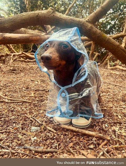 When you get a new raincoat and shoes