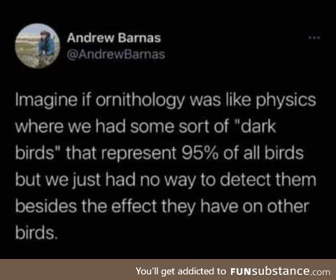 Bird physics