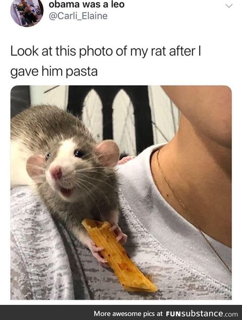 Ratatouille, the prequel