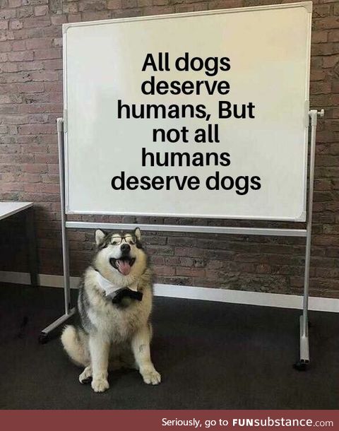 I just saw a sad videos about doggos so why not