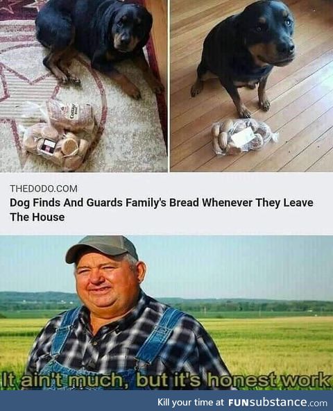 Dog guards family's bread