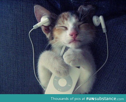 Addicted to Music ♪♫