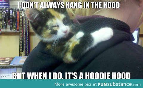 Cat in the "hood"