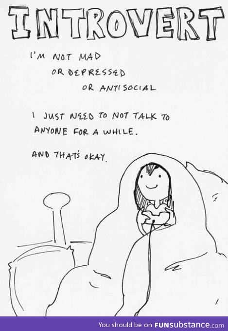 Every introvert will understand