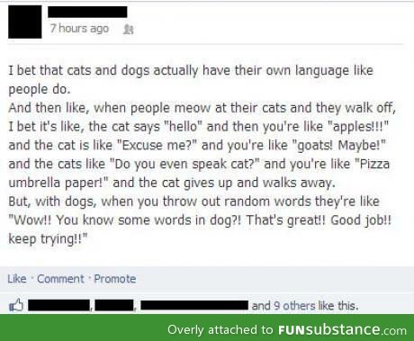 Cats and dogs