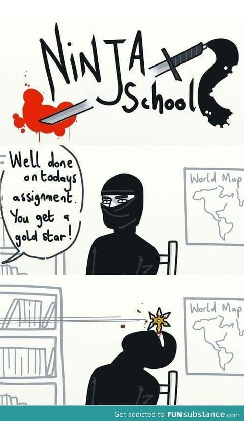 Ninja school