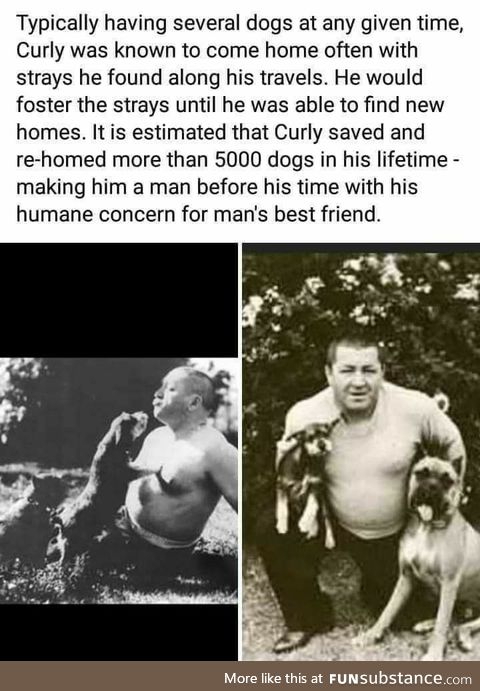 Curly Howard (Three Stooges) saving dogs