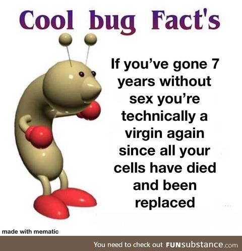 Cool bug facts, this is oc