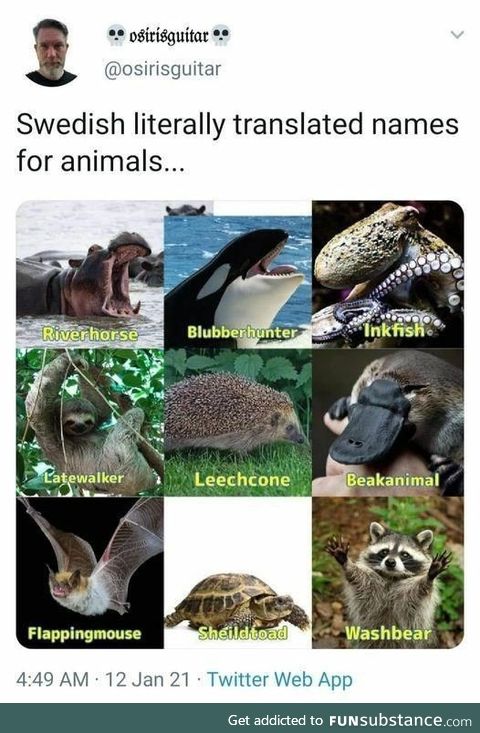 Swedish animal names translated literally