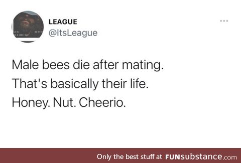 Barry bee benson