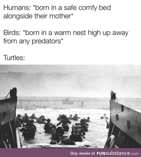 Reverse d-day