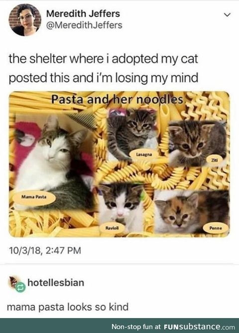 Mama pasta and her noodles