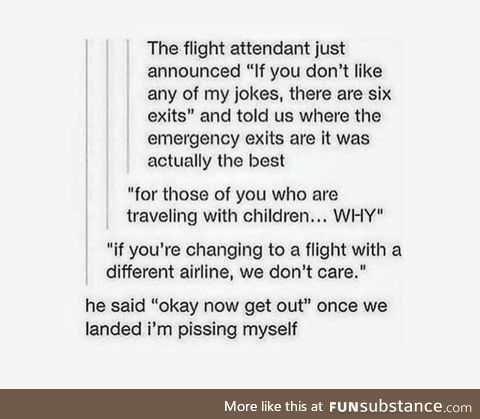 The best kind of flight attendant