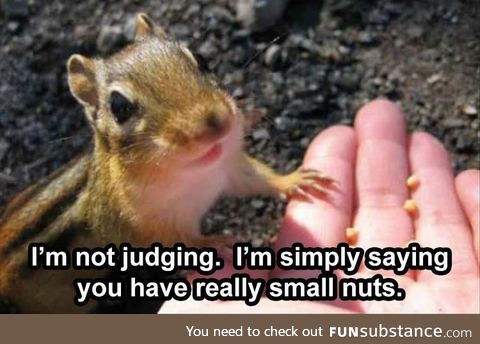 It's not the size of the nuts that counts