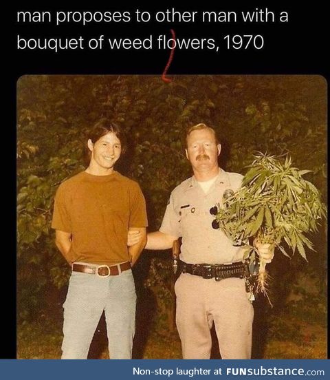 Man proposes to other man with a bouquet of weed flowers, 1970