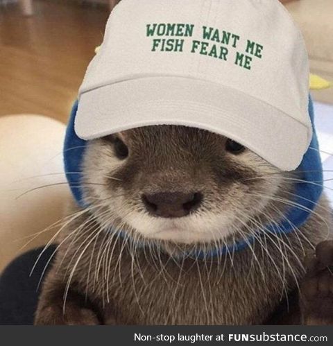 There's No Otter Alternative