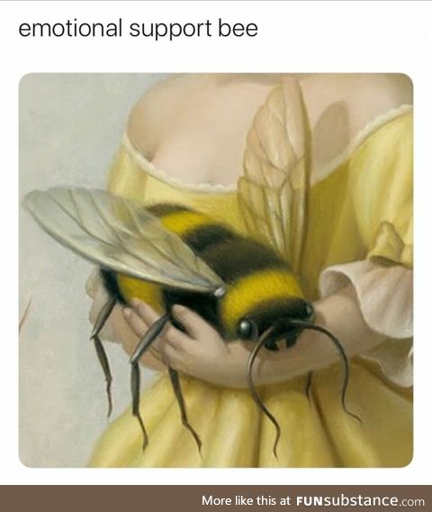 Emotional Support Bee