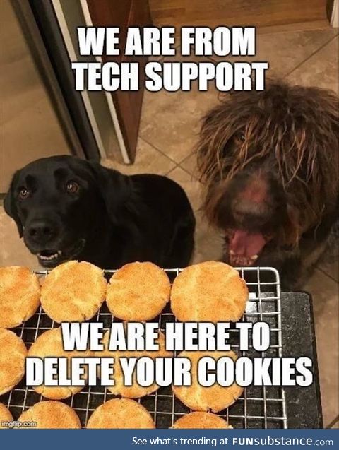 Tech Support Here to Delete Your Cookies