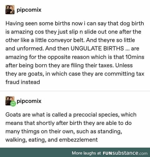 Goats of Finance