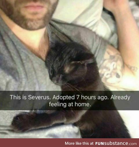 Serverus adopted seven hours ago