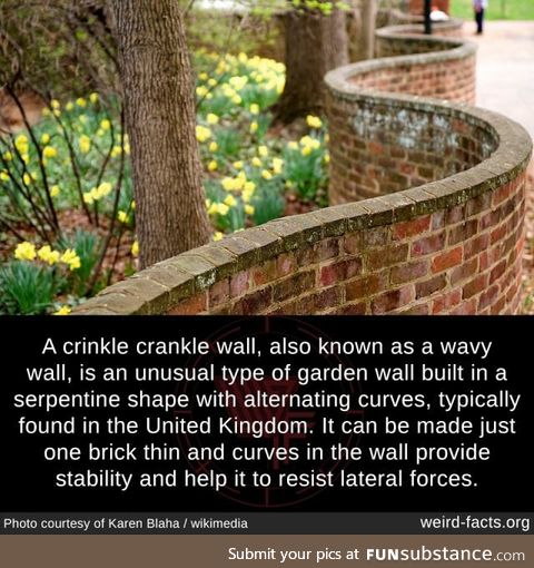 Crinkle Crankle Wall