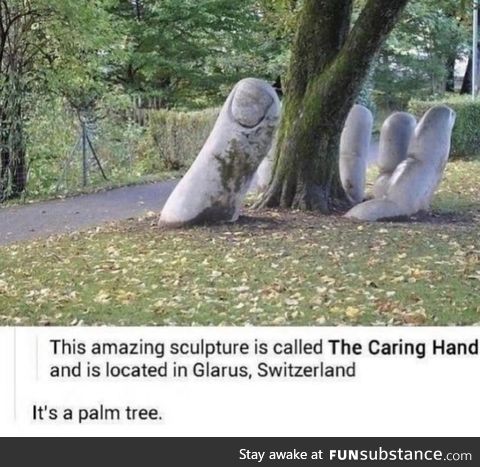 Get it? Because the tree... Is in his palm. Haha