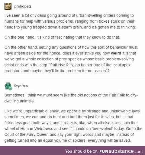 Humans are fairies