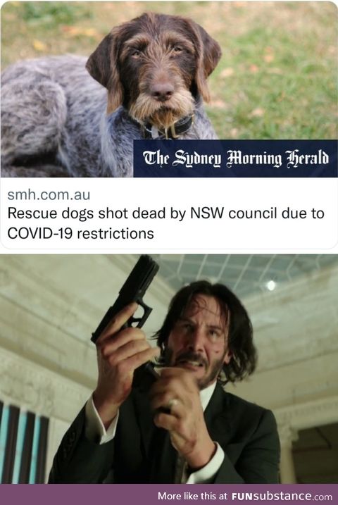 John Wick Goes Down Under