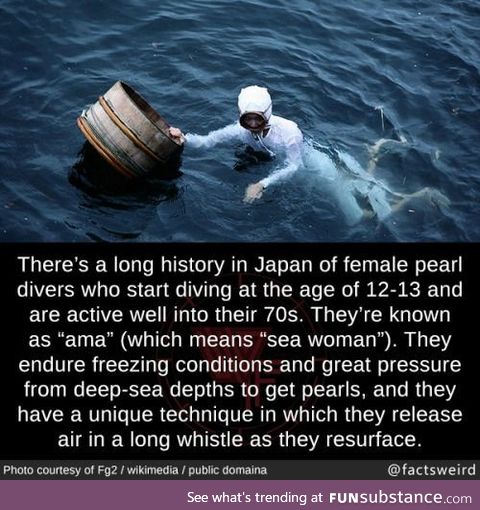 The sea women of Japan (Pearl Divers)