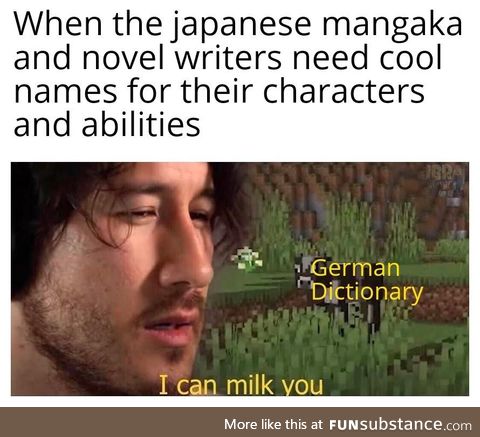 Ich werde Japan niemals vergeben