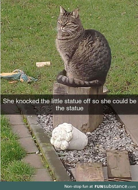 Kitteh better than stupid statue anyway