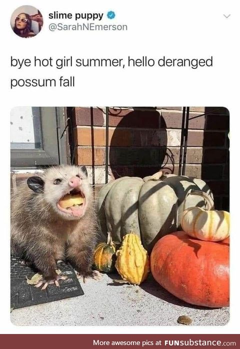 Welcome deranged possum fall