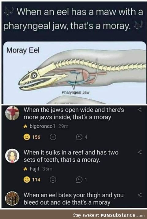 Can you eel the love tonight?